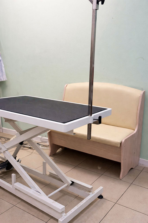 Подъёмный стол для груминга собак крупных пород