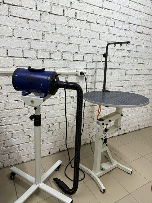 Салон груминг в Смоленске: стол для стрижки и турбофен