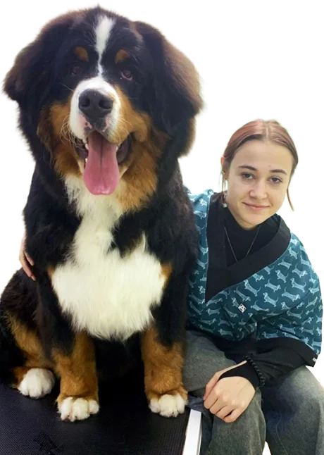 Мастер по уходу за собаками в Смоленске