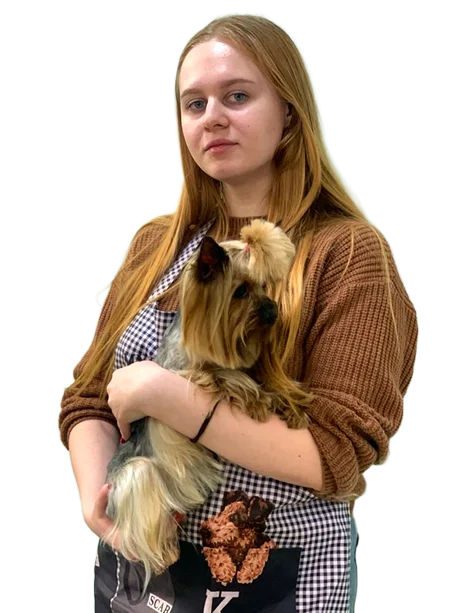 Мастер по спа и гигиене для собак и кошек в Смоленске