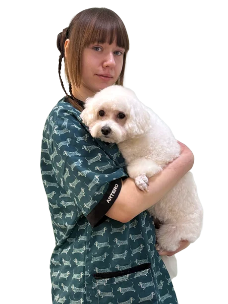 Стилист для собак и кошек в Смоленске