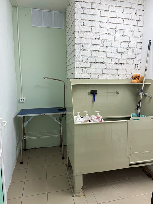 Груминг ванная в Смоленске